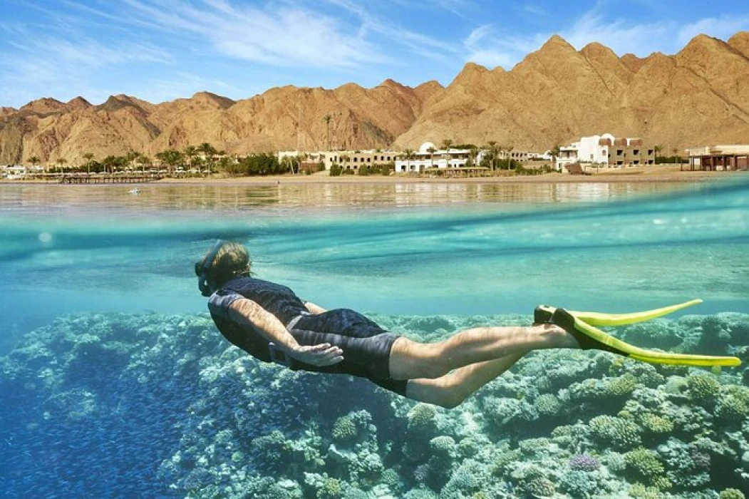 {"en":"wow travel egypt"}