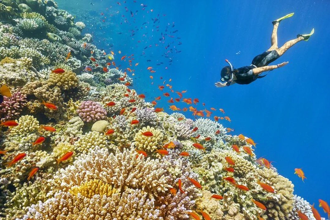 {"en":"wow travel egypt"}
