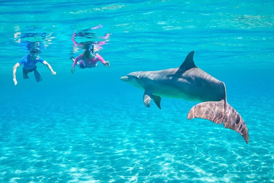 {"en":"wow travel egypt"}