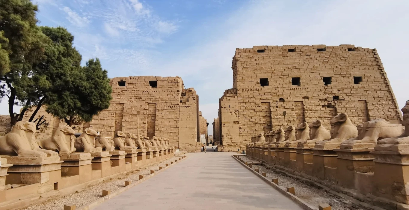 {"en":"wow travel egypt"}