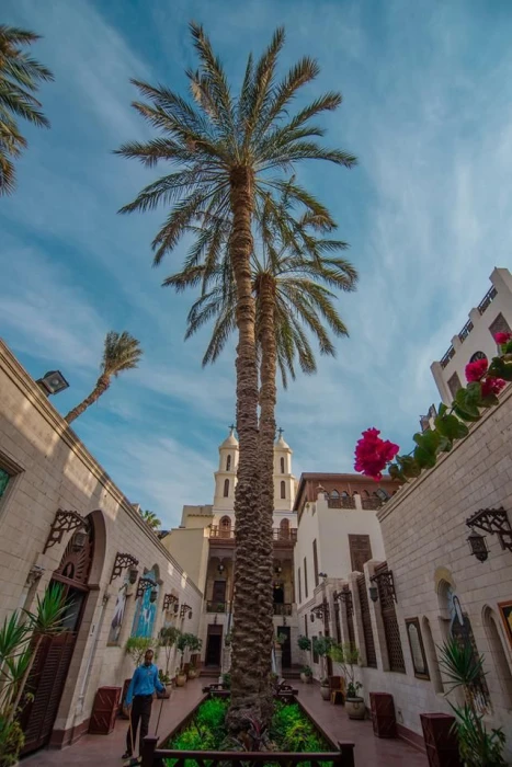 {"en":"wow travel egypt"}