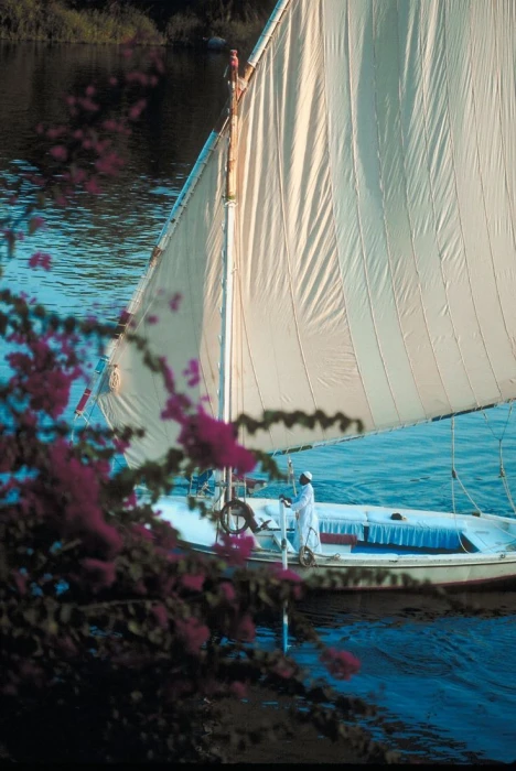 {"en":"7-Day-Felucca-Cruise"}