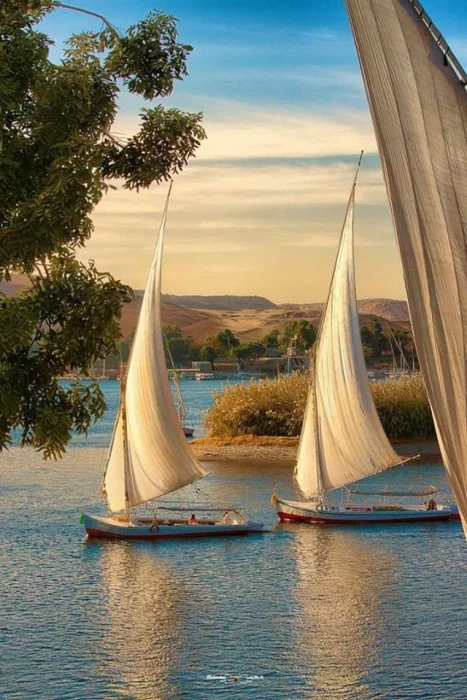 {"en":"Aswan"}